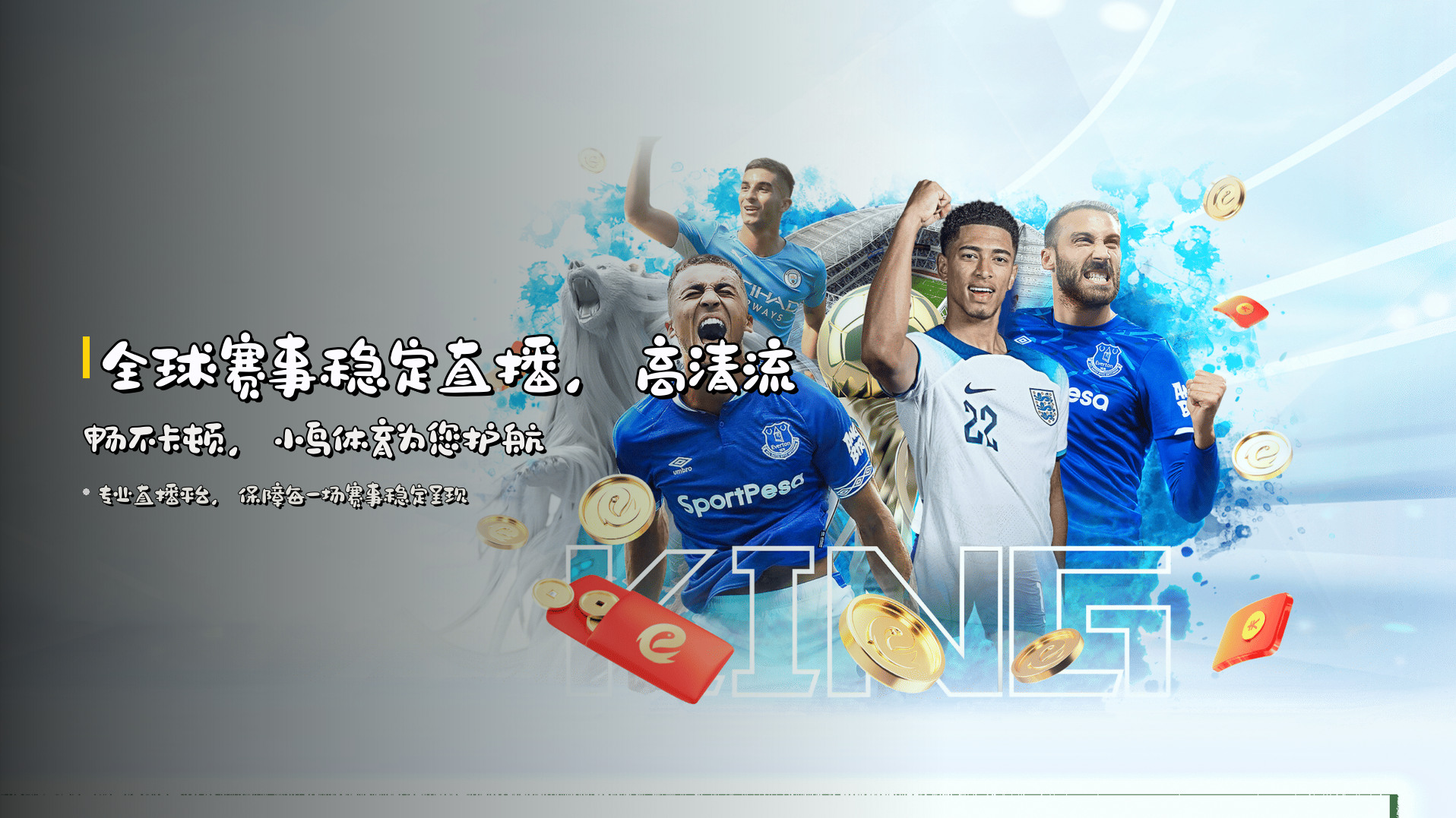 全球赛事<strong>稳定直播</strong>，高清流畅不卡顿，小鸟体育为您护航