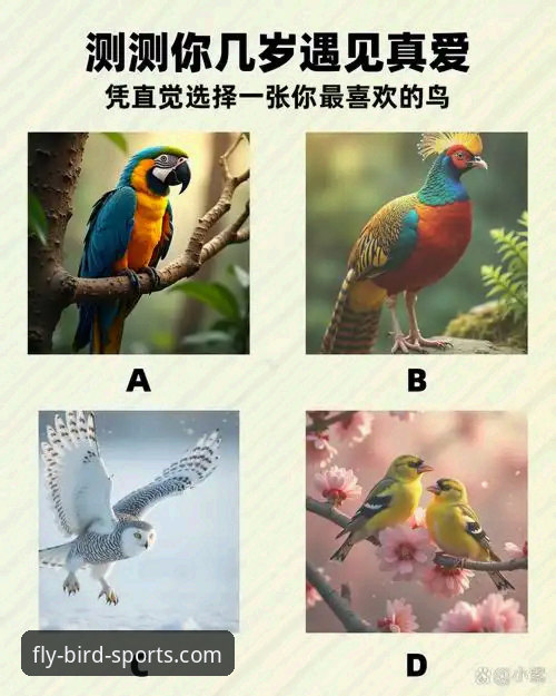 小鸟体育旧版本下载深度分析：为何资深用户偏爱经典版本？