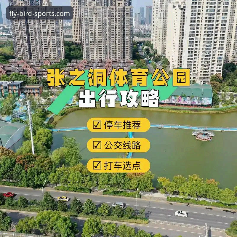 小鸟体育安卓版 小鸟体育安卓版完整安装使用教程:从下载到直播观赛全攻略