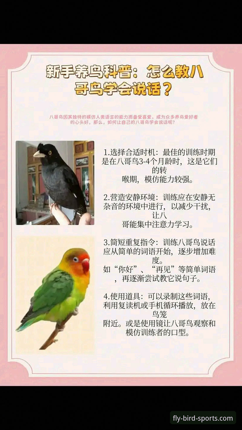 小鸟体育App功能介绍 揭秘小鸟体育App:你所不知道的五大核心功能与新手入门指南